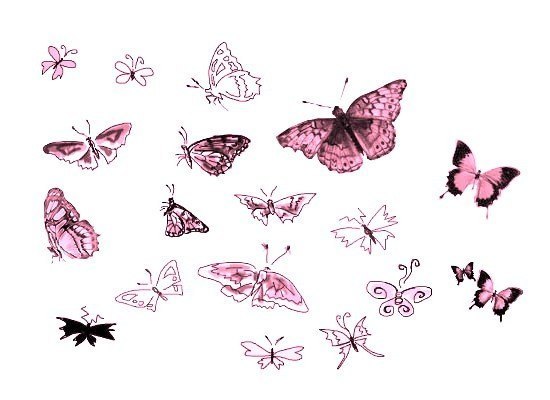 Бесшовные фоны с бабочками и насекомыми CziYFoyiLVY