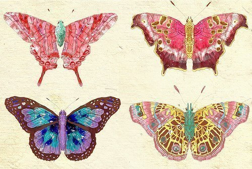 Бесшовные фоны с бабочками и насекомыми IZ10L-cjmBM