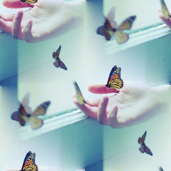 Бесшовные фоны с бабочками и насекомыми - Страница 2 Sh1QuijYBIE